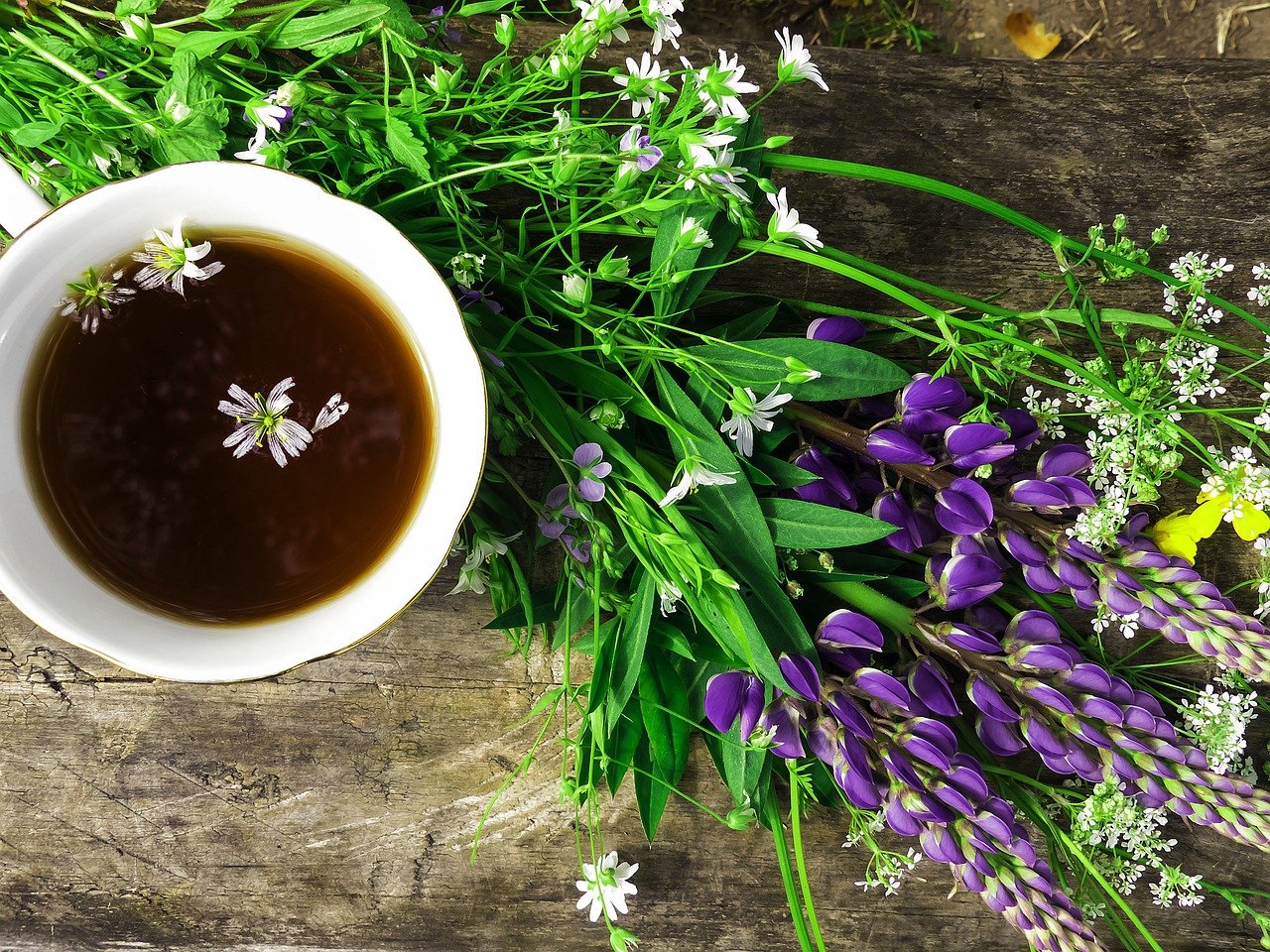 Tending Your Mind Garden